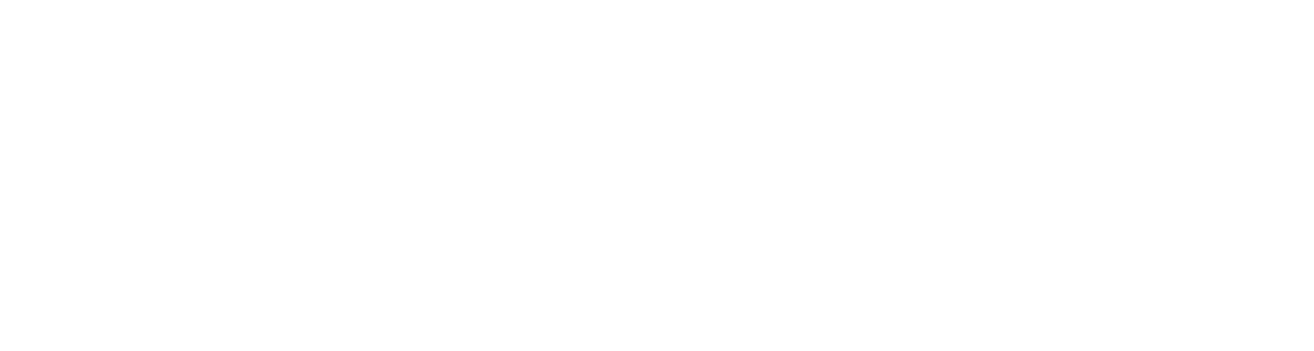 Fast & Furious 9